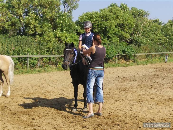 Anden særlig race Kila´s Sambo (SOLGT) - Sambo til fik en 2.plas i LB<3 billede 13