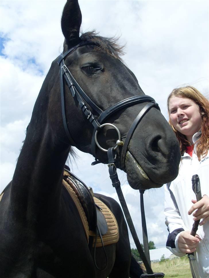 Anden særlig race Diablo billede 19