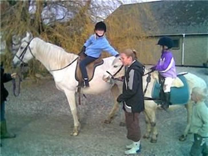 Anden særlig race Fenella - Fenella på vej på tur . hende til venstre billede 4