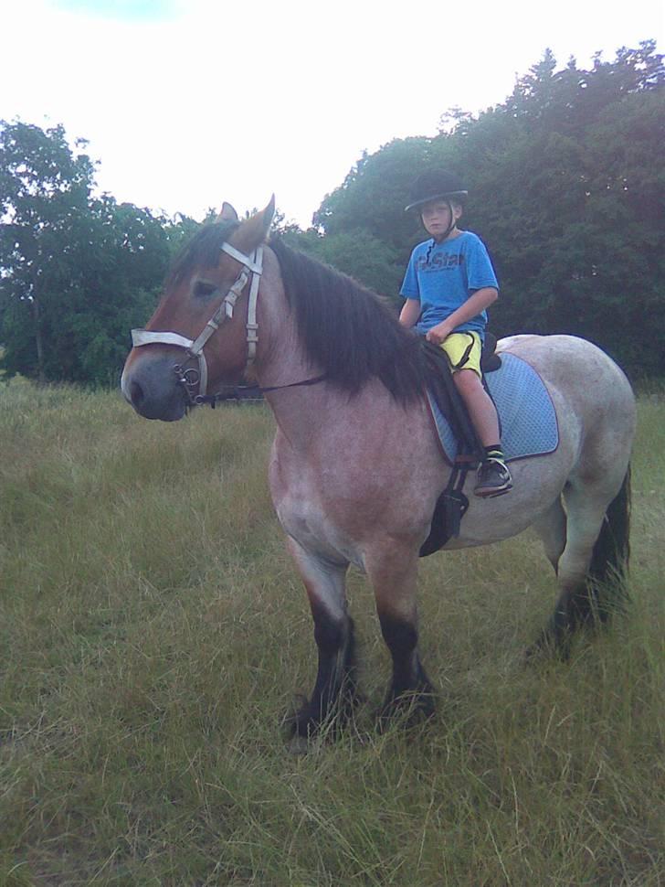 Belgier mathilde a frømajgård rip - jakob og tilde rider tur billede 3