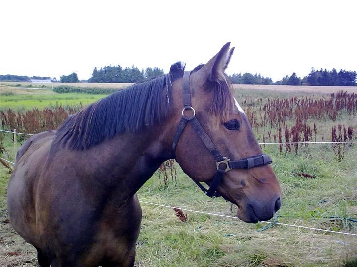 Traver Gucci <3 [SOLGT:'(] - Min dejlige Gucci:´) billede 17