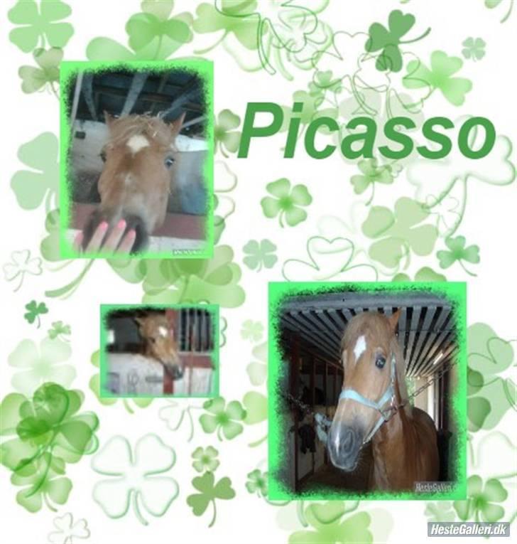 Anden særlig race Picasso!<3 - savnet. billede 6