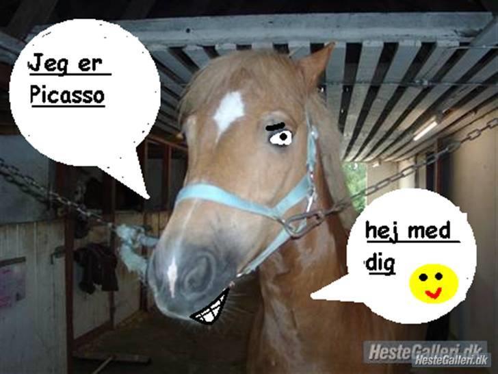 Anden særlig race Picasso!<3 - savnet. - Bare for sjov:-) billede 7