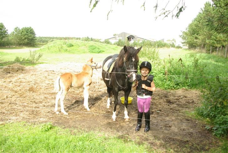 DSP Sofie RT - Første tur efter føllet er født d.26.08.09 billede 12