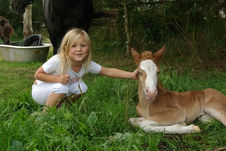 DSP Sofie RT - Det blev en lille hingstebasse billede 13