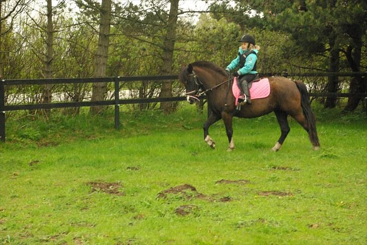 DSP Sofie RT billede 16