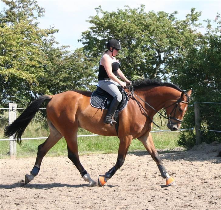 Holstener C-Hightower Højgård billede 14