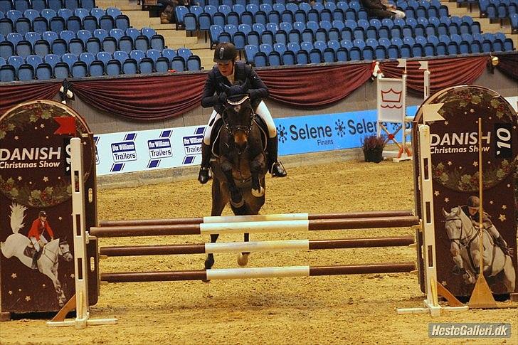 New Forest | Tårups Newton - Warm up 2010 LB** 0 fejl, 16 plads :*  billede 5