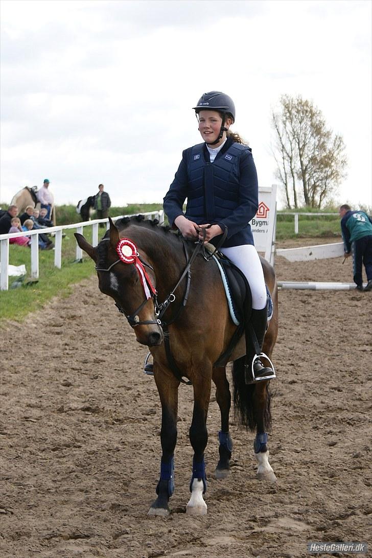 New Forest | Tårups Newton - 1 plads LC ørsted! <3 Foto: Elizabeth A billede 8