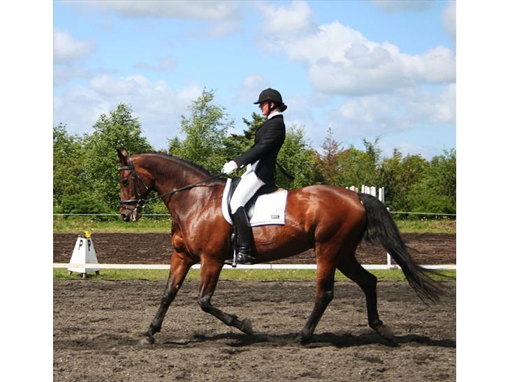 {{currentPhoto.altText}} billede {{currentPhoto.number}}