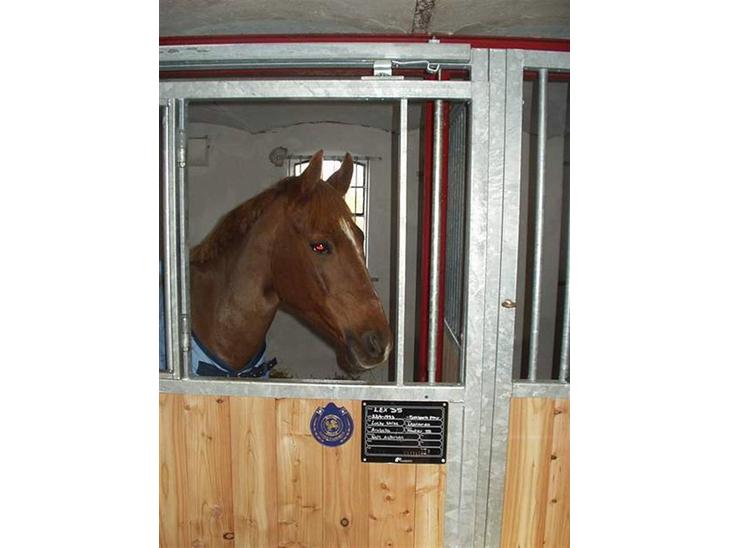 {{currentPhoto.altText}} billede {{currentPhoto.number}}