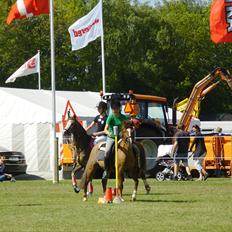 Anden særlig race Fratchy Fray (Freja)
