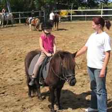 Anden særlig race Cute