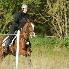 DSP Emilia's Grevenrit 