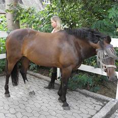 Anden særlig race Matilde *tidliger part*