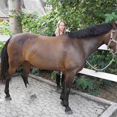 Anden særlig race Matilde *tidliger part*