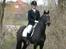 New Forest Mandy - Stævne i THR