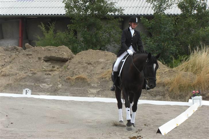 Oldenborg Lady Galina af Bækkeskov - færdig med klassen :) det var ikke et særlig vellykket program, pga. uro uden for banen, men vi vandt da med holdet (; billede 6