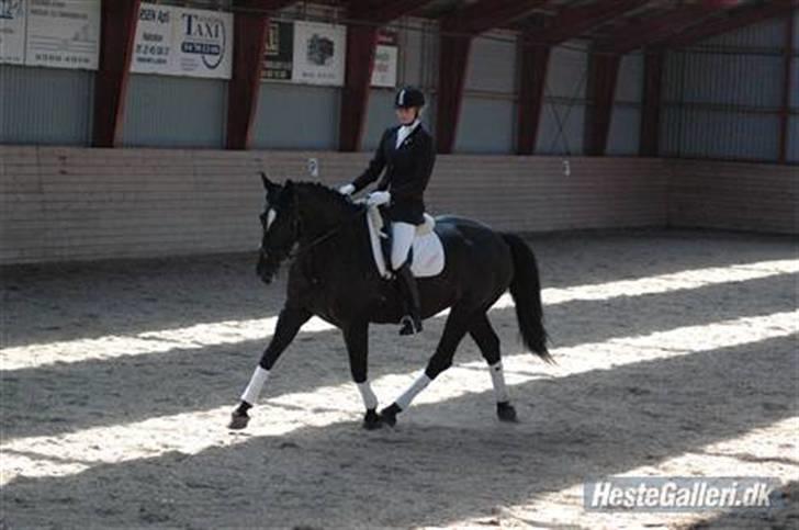 Oldenborg Lady Galina af Bækkeskov - stævne på MARK d. 31 marts. LB2, vi red til 65,19 med 2-fejl .. men fik en 2. plads alligevel :) billede 10