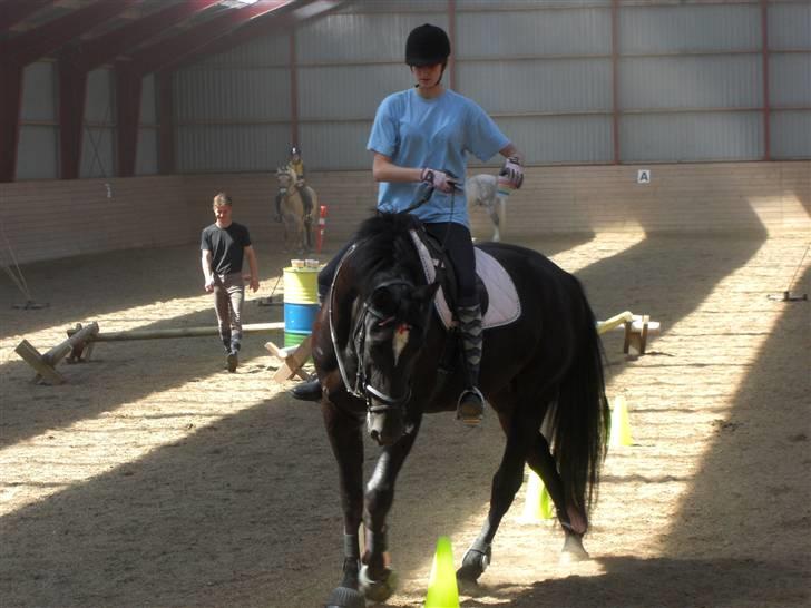 Oldenborg Lady Galina af Bækkeskov - galina og jeg rider ponygames med rideskolen :) billede 13