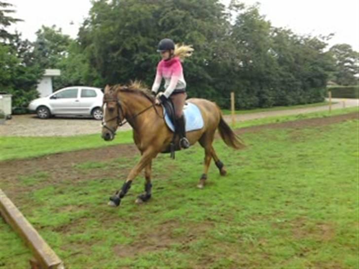 Anden særlig race Flør (gammel part) - lidt spring igen:) billede 11