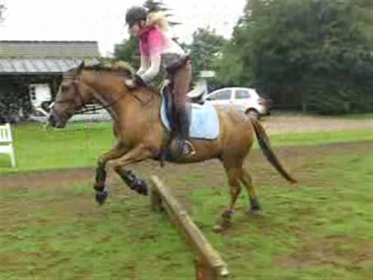 Anden særlig race Flør (gammel part) - spring igen:) billede 12