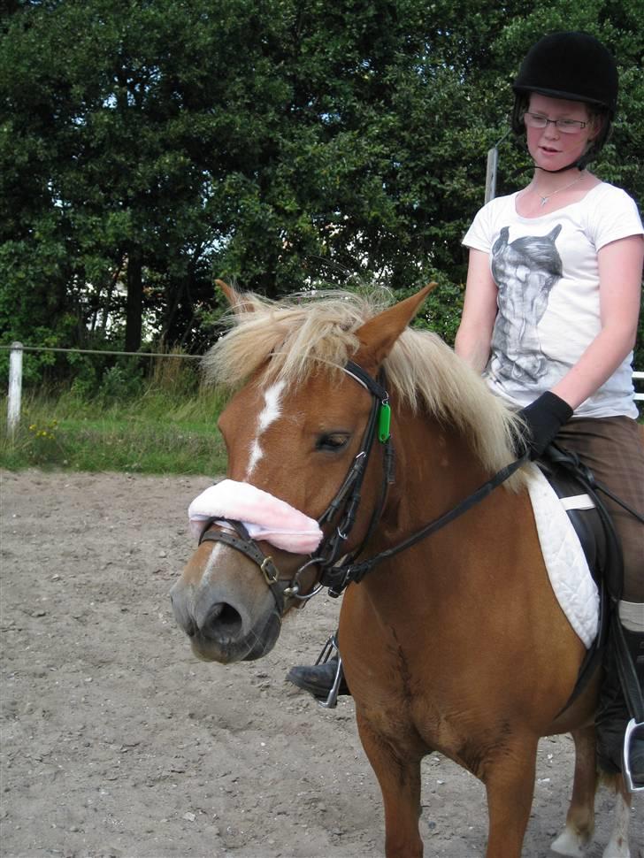 Anden særlig race Rosa* Linda h's * - Igen. Foto:Camilla billede 5