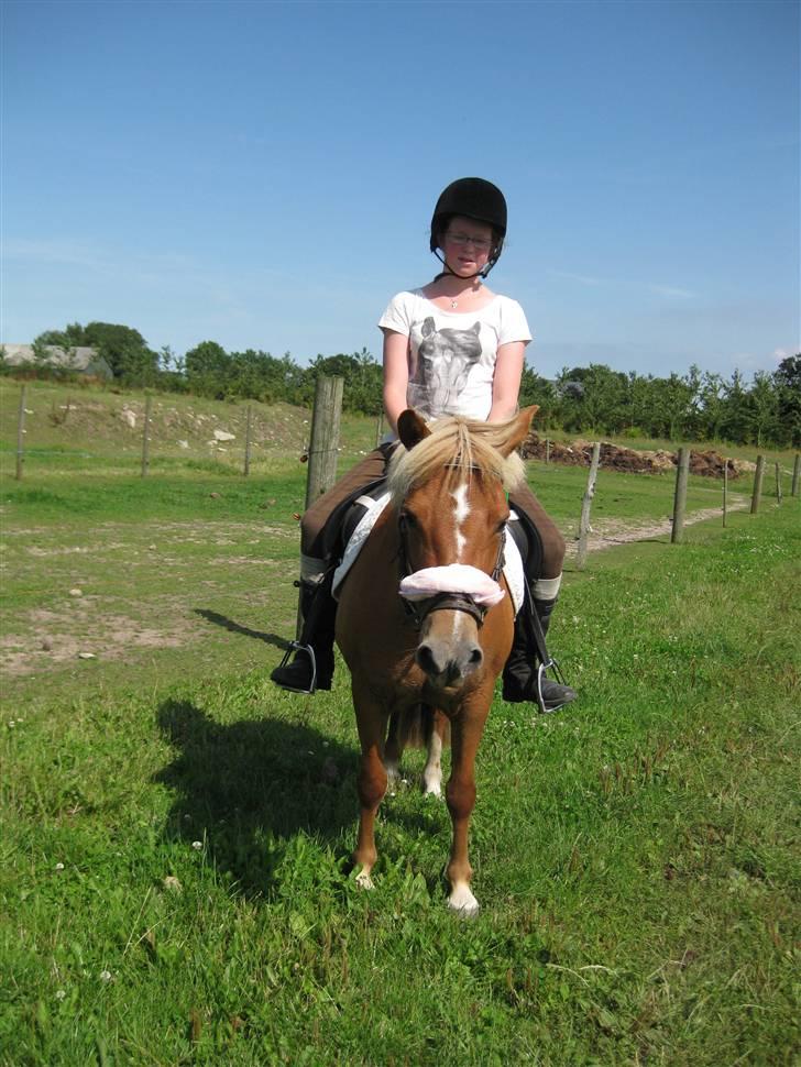 Anden særlig race Rosa* Linda h's * - Skridter af udenfor. Foto:Camilla. billede 8