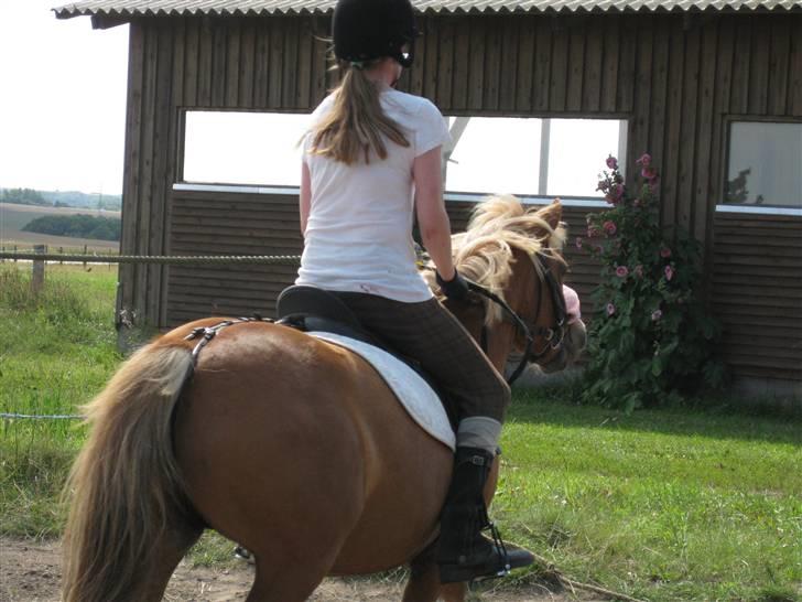 Anden særlig race Rosa* Linda h's * - Farvel. Foto:Camillla billede 9