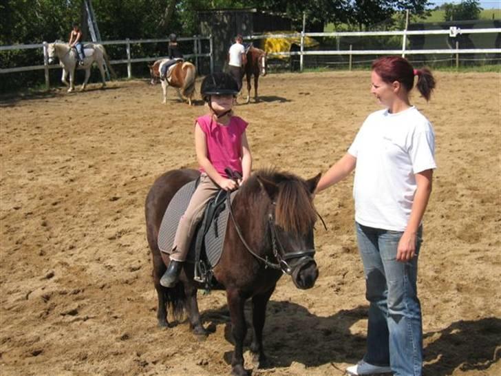 Anden særlig race Cute billede 1