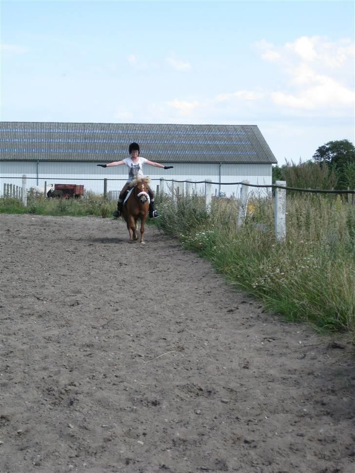 Anden særlig race Rosa* Linda h's * - Foto:Camilla. billede 10