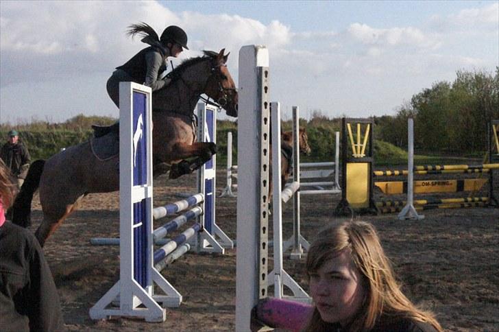 Anden særlig race Magic Mix - Elsker den måde hun springer her :)<3 billede 20