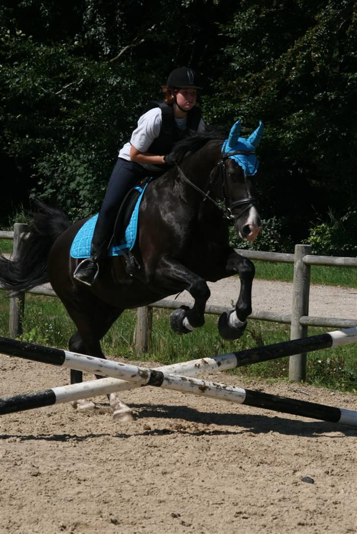 Oldenborg Thuffy af Ulstrup billede 14