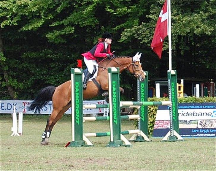 Dansk Varmblod Egelunds Mabel :')<3 [himmelhest] :'(<3 - aabenraa sydjysk horse show :) LB mini derby billede 4