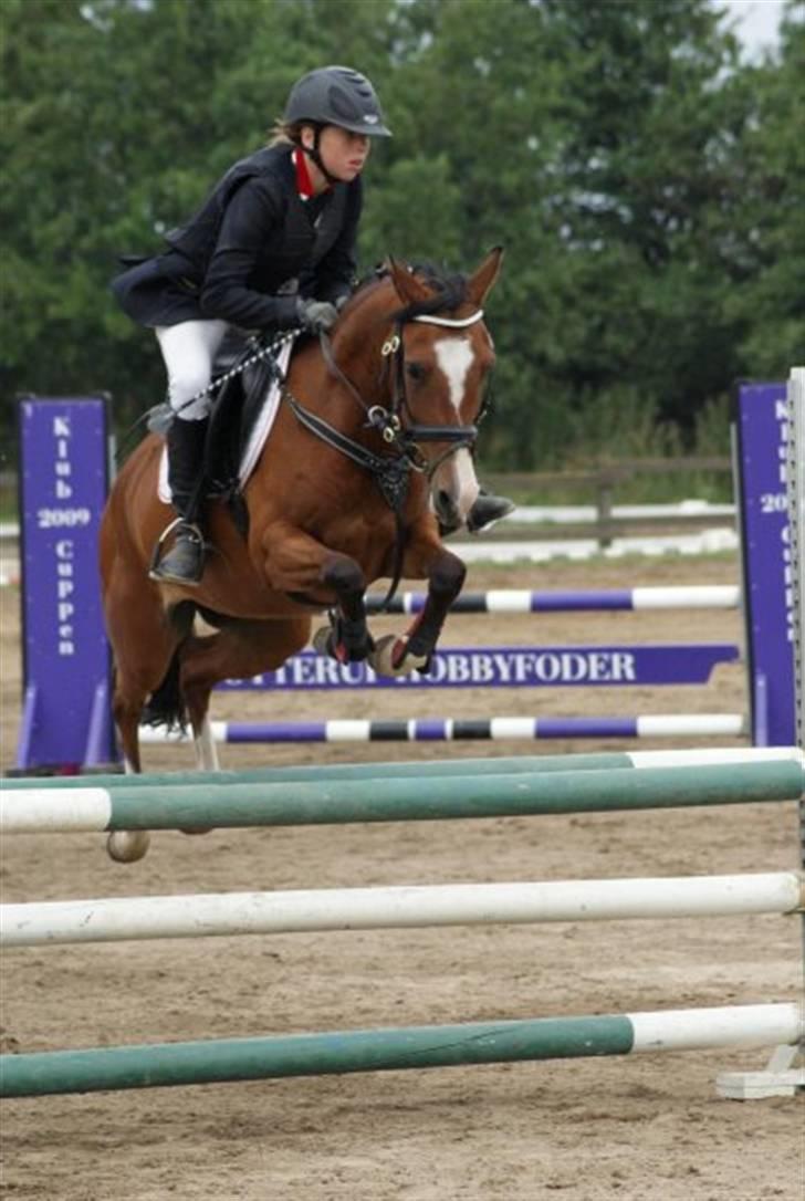 DSP Emilia's Grevenrit  - 4) YB af Mille&Mig i LA (FOTO : NØJSEN) billede 4