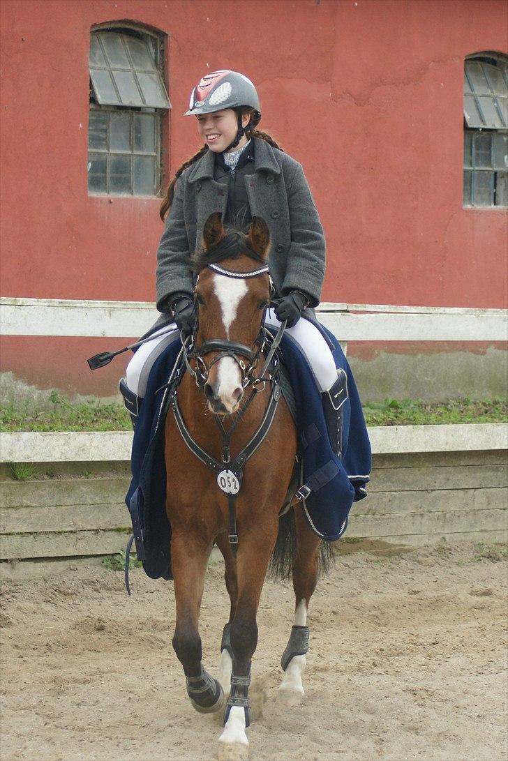 DSP Emilia's Grevenrit  - 5)  billede 5