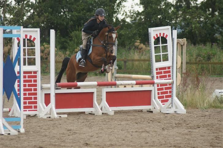 DSP Emilia's Grevenrit  - 6) Mille&Jeg Springer billede 6