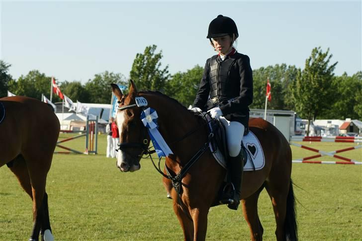 DSP Emilia's Grevenrit  - 7) Til præmieoverakelse på det Fynske Dyreskue 09 2.plads i spring billede 7