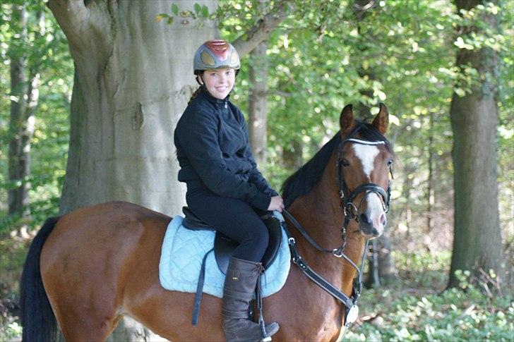 DSP Emilia's Grevenrit  - 8) I skoven  billede 8