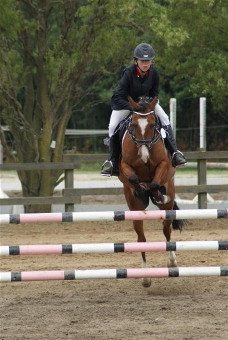 DSP Emilia's Grevenrit  - 10) MIlle&Jeg til stævne (FOTO : NØJSEN) billede 10