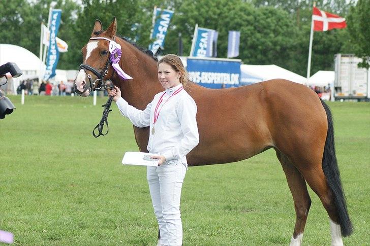 DSP Emilia's Grevenrit  - 12) Det fynske dyrskue 2010. Vinder af mønstring "Junior" billede 12