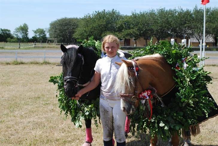 Anden særlig race Toxic Daisy - Klubmesterskab 2009 - Daisy nr. 2 billede 12