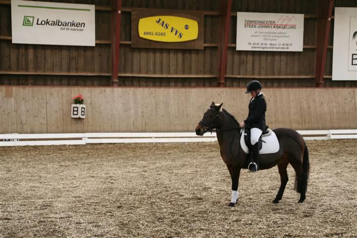 Anden særlig race Jasmin<3 SOLGT - EFTERLYST !!! - mig og jasmin til vores første stævne vi hilser på dommeren <3 tak fordi i så med læg en kommentar og en bedømelse billede 10