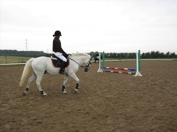 Connemara Guardian angel - stævne..:) Jose og Guardi<3 billede 1