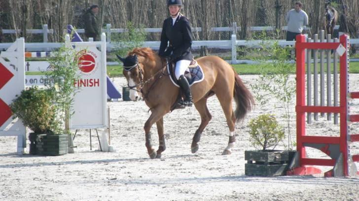 Anden særlig race Ulysse du Maron*Solgt :'( billede 2