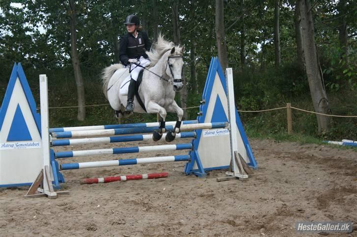 Anden særlig race Silver - Velkommen til Silvers profil :) Silver i sin første ULC som han kom fejlfri. Billedet er taget af Heidi H. billede 1