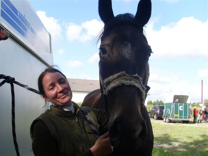 Dansk Varmblod Fie  - Stævne(: billede 19