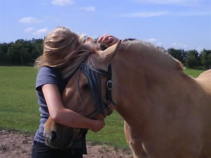 Fjordhest Hesselbjerg's Musse - Mig og musse<3 billede 13