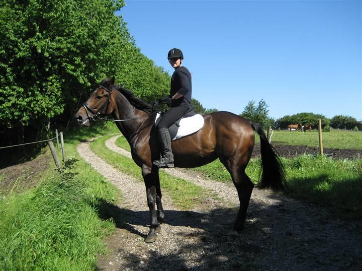 Traver Lady´s Chill - Jep os igen ..... :-D    Foto: Jeanet. billede 2