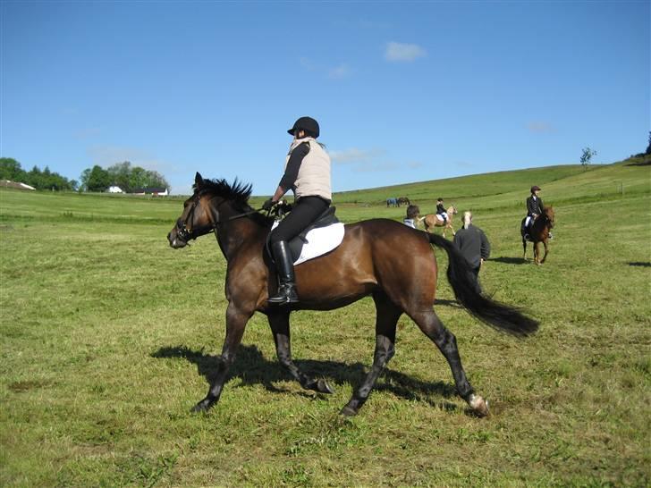 Traver Lady´s Chill - Lidt opvarmning     Foto: Jeanet. billede 4